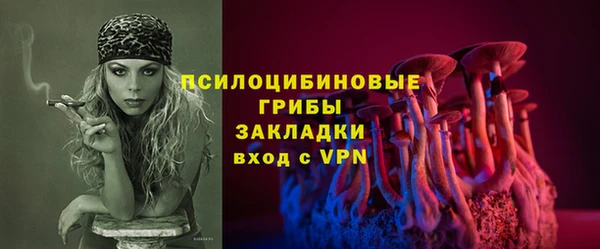 таблы Белокуриха