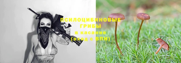 мдпв Беломорск