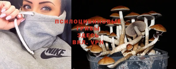 мдпв Беломорск