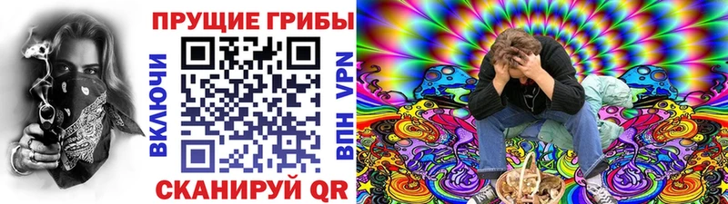 Псилоцибиновые грибы мицелий  Белокуриха 